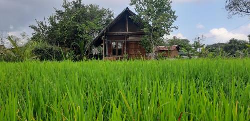 Hotel Habarana Farm Cottage