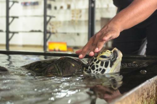 Bed & Breakfast Lake Villa