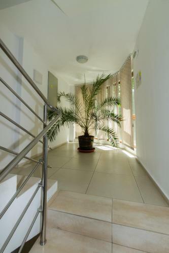 Apartamento April Studios In Sandanski
