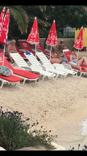 Apartament Palma
