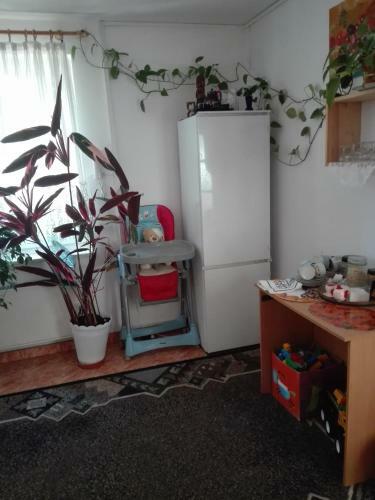 Hostel Madeira