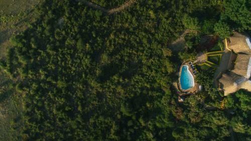 Lodge Manyara Wildlife Safari Camp