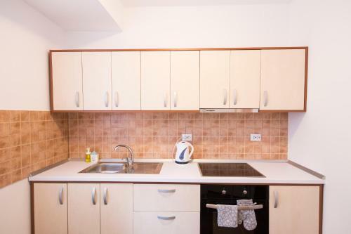 Sunny Old Town Apartment Brasov