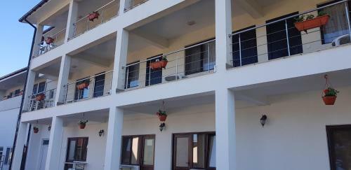Hotel Arena Dotro
