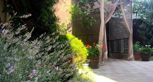 Hostal Guest House Anastasia