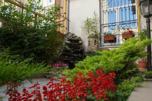 Hostal Guest House Elena