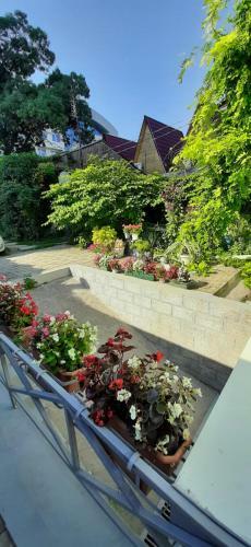 Hostal Guest House Anastasiya