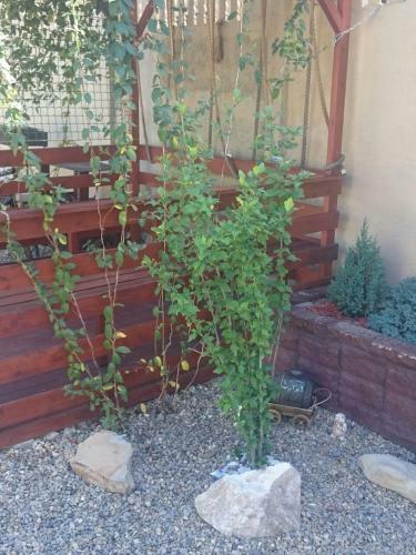 Hostal Milana Guest House