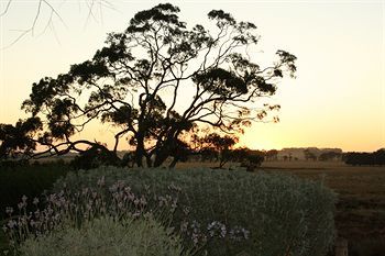 Hotel Quamby Homestead