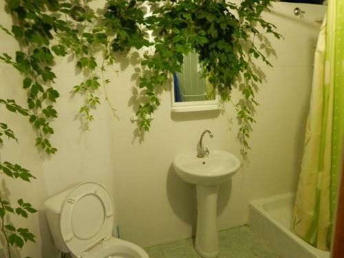 Hostal Gostevoy Dom Anastasiya