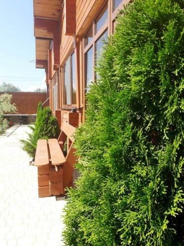 Hostal Guesthouse Chateau Zali