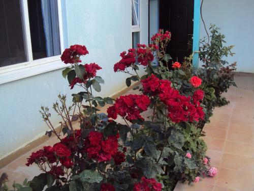 Hostal Guest House V Dolinie Roz