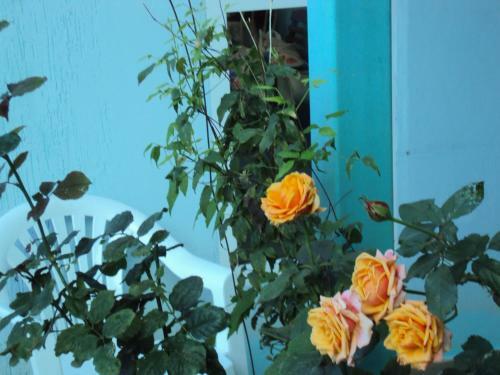 Hostal Guest House V Dolinie Roz