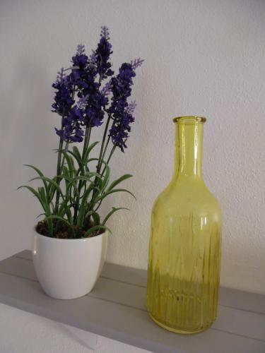 Bed & Breakfast Hotel/pension Blume
