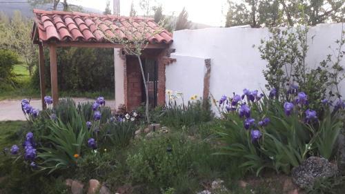 Casa De La Abuela Bego