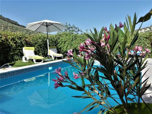 Hostal Cortijo Berruguilla Casa Rural