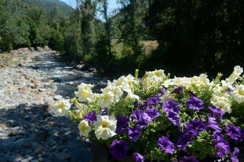 Camping Serra