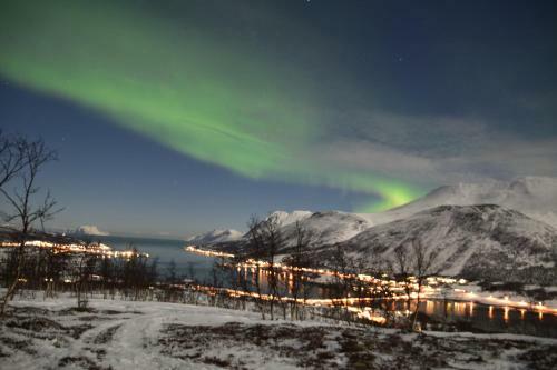 Lyngen Havfiske Og Tursenter