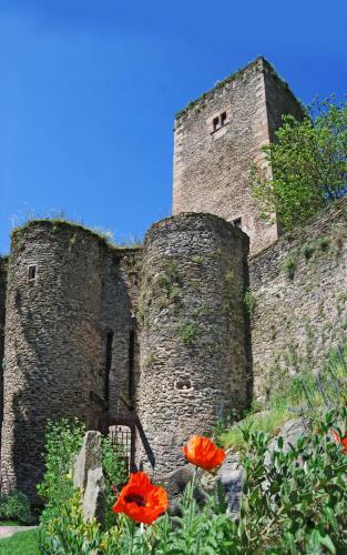 Bed & Breakfast Chambre D'h�tes Au Ch�teau de Belcastel