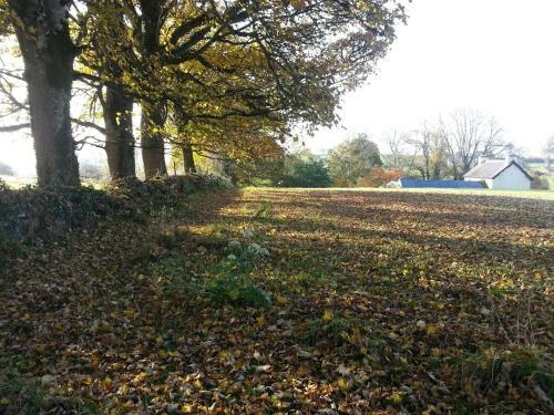 James Tymon Self-catering Cottage