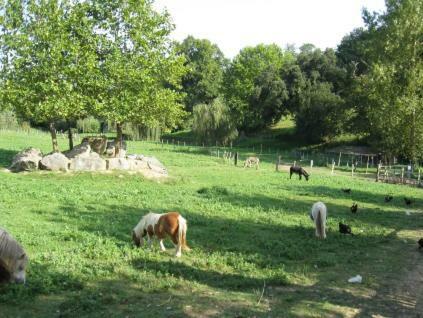 La Ferme Des 4 Chenes