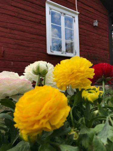 Hostal Visings� Pensionat