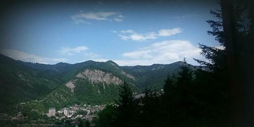 Hostal Guest House Borjomi Forest