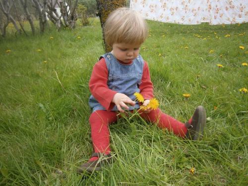 Agroturismo Sireksstadir Farm Holiday