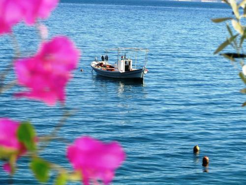 Apartamento Blue Sky Studios