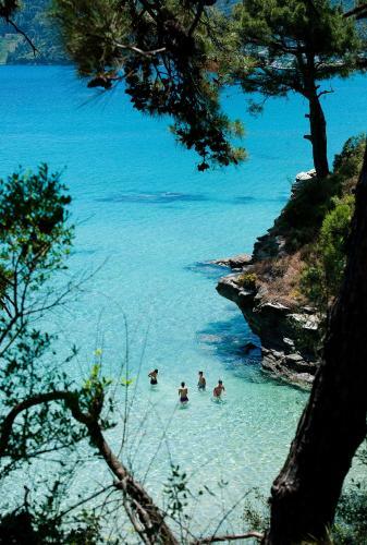 Bed & Breakfast Island View Villa