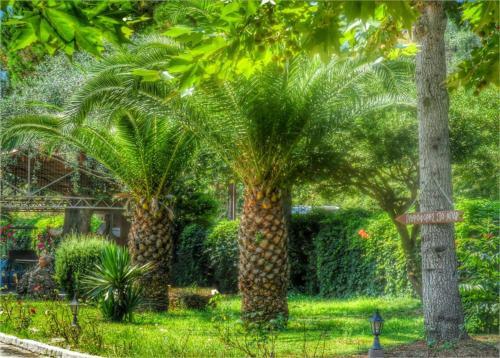 Aparthotel Aneton