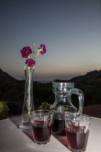 Aparthotel Ammoudi Hotel