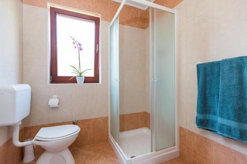 Apartments With A Swimming Pool Novigrad - 7078