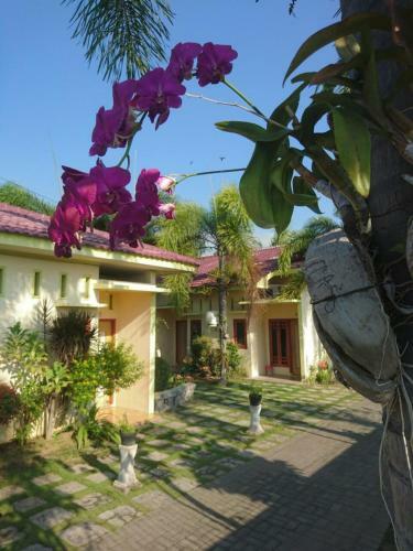 Hostal Cerah Hotel