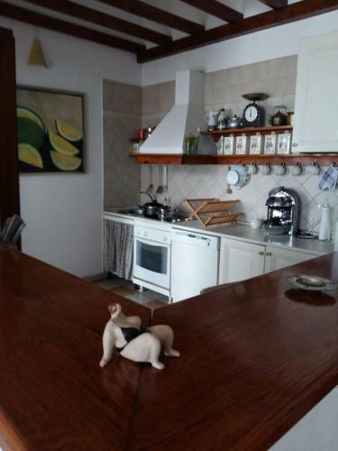 Apartment Savina