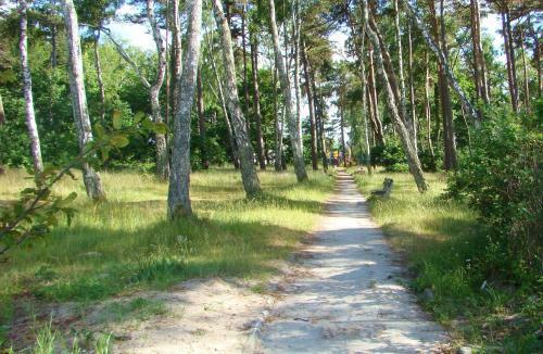 Apartamenty Amon Z Widokiem Na Morze