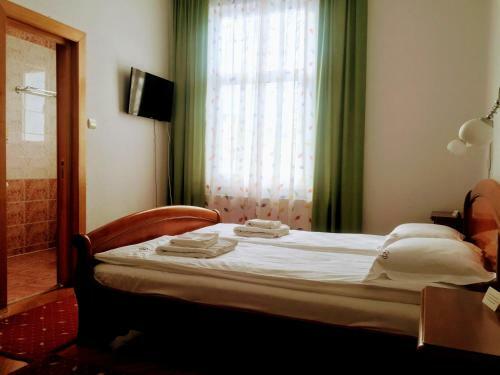 Hostal Pensiunea Puiu Popa