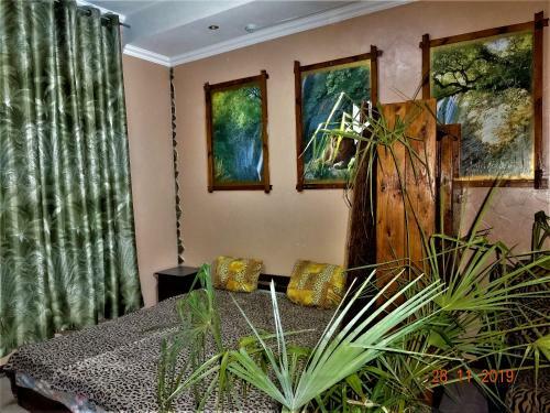 Hostal Guest House Azovsafari