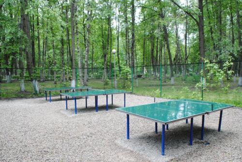 Hotel Amaks Staraya Russa Resort