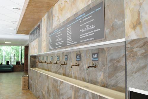 Hotel Amaks Staraya Russa Resort