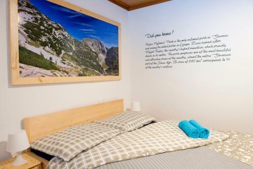 Hostal Vila Lipa