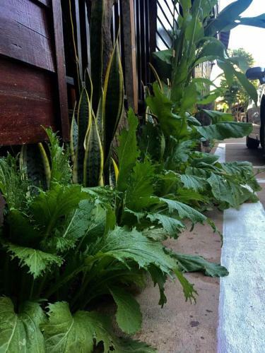 Khuang Chang Kam Boutique Hotel