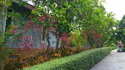 Hotel Khaoyai Nature Retreat