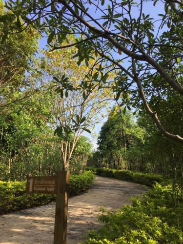 Hotel Khaoyai Nature Retreat