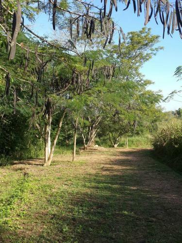 Hotel Khaoyai Nature Retreat