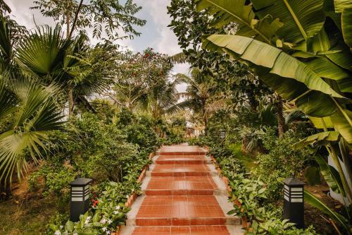 Hotel Palm Hill Resort