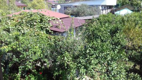 Hostal Guest House Zelenyi Dvorik
