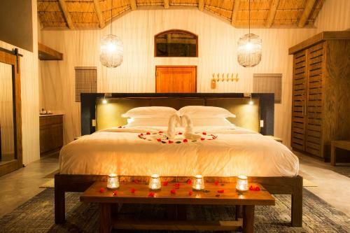 Lodge Misava Safari Camp - Klaserie Drift