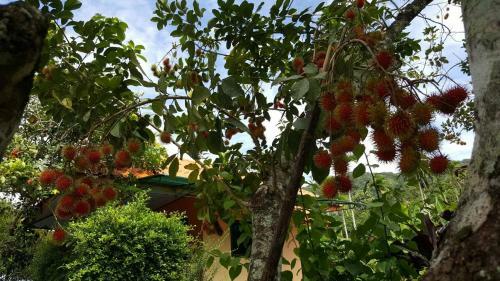 Posada @ Sichon Resort