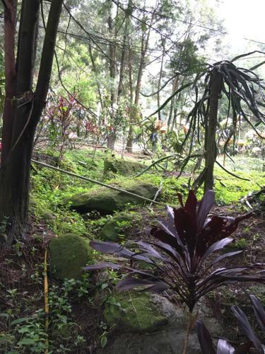 Shan Hu Lian Homestay